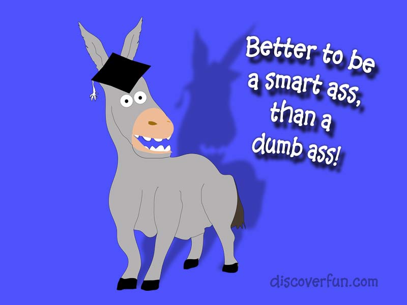 Another Word For Smart Ass 16