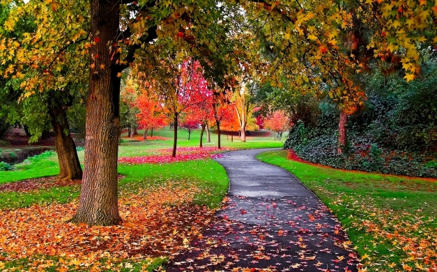 Autumn-in-the-Park-autumn-25517310-1440-900